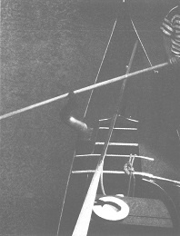 Венеция - это рыба Венеция - это рыба