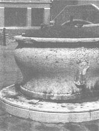 Венеция - это рыба Венеция - это рыба