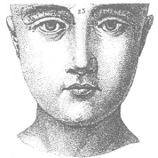 Венеция - это рыба Венеция - это рыба