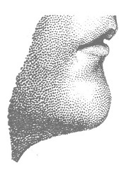 Венеция - это рыба Венеция - это рыба