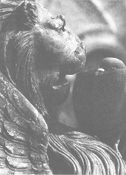 Венеция - это рыба Венеция - это рыба