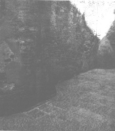 Венеция - это рыба Венеция - это рыба