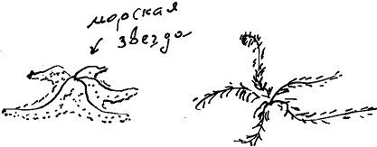 Тропик лейтенанта. Пиратское рондо Тропик лейтенанта. Пиратское рондо