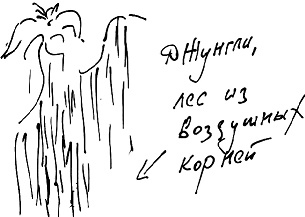 Тропик лейтенанта. Пиратское рондо Тропик лейтенанта. Пиратское рондо
