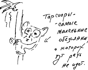 Тропик лейтенанта. Пиратское рондо Тропик лейтенанта. Пиратское рондо