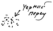 Тропик лейтенанта. Пиратское рондо Тропик лейтенанта. Пиратское рондо