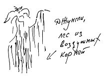 Тропик лейтенанта. Пиратское рондо Тропик лейтенанта. Пиратское рондо