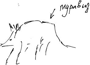 Тропик лейтенанта. Пиратское рондо Тропик лейтенанта. Пиратское рондо