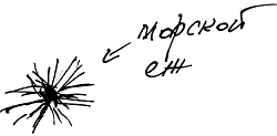 Тропик лейтенанта. Пиратское рондо Тропик лейтенанта. Пиратское рондо