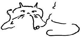 Кот Кот