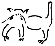 Кот Кот