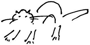 Кот Кот