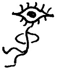 Кот Кот