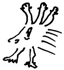Кот Кот