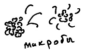 Кот Кот