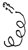 Кот Кот