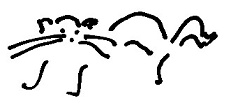 Кот Кот