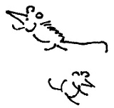 Кот Кот