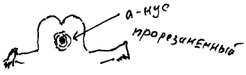Кот Кот