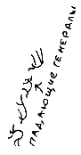 Кот Кот
