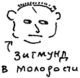 Кот Кот