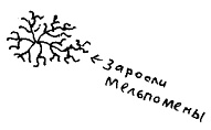 Кот Кот