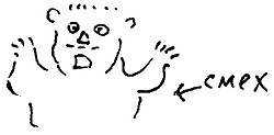 Кот Кот