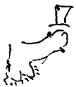 Кот Кот