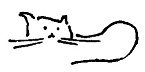 Кот Кот