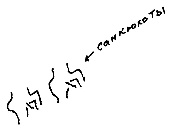 Кот Кот