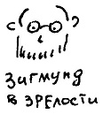 Кот Кот