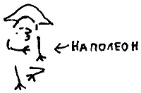 Кот Кот