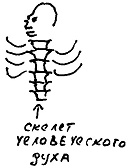 Кот Кот