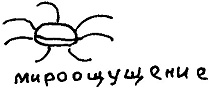 Кот Кот