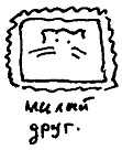 Кот Кот