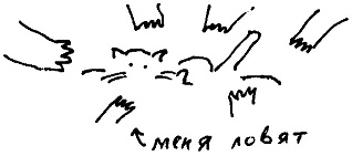 Кот Кот