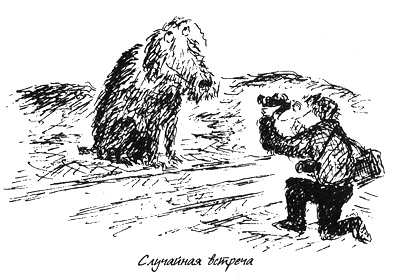 Собачья жизнь Собачья жизнь