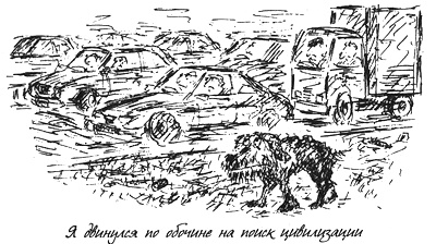 Собачья жизнь Собачья жизнь