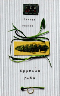 Крупная рыба - Дэниел Уоллес - Читать книги онлайн | Слушать аудиокниги онлайн | Электронная библиотека books-lib.com