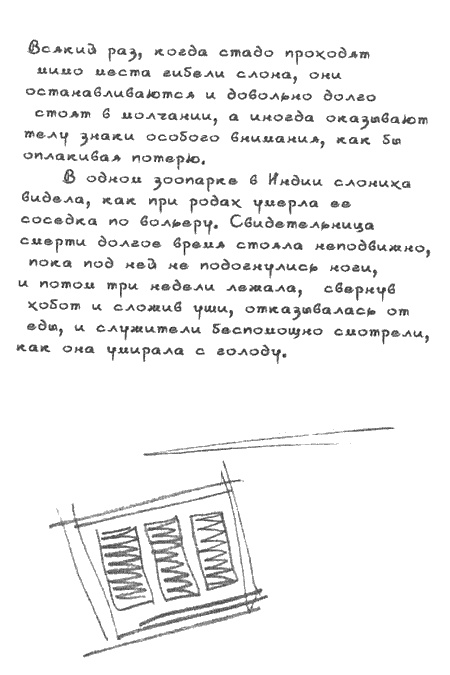 Квантовая теория любви Квантовая теория любви