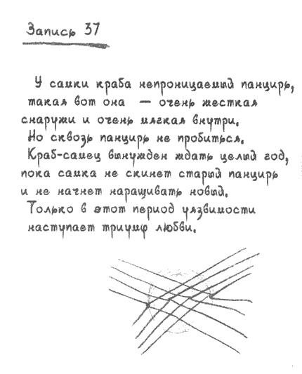Квантовая теория любви Квантовая теория любви
