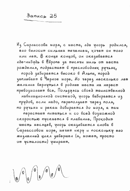 Квантовая теория любви Квантовая теория любви