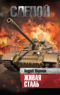 Слепой. Живая сталь - Андрей Воронин - Читать книги онлайн | Слушать аудиокниги онлайн | Электронная библиотека books-lib.com