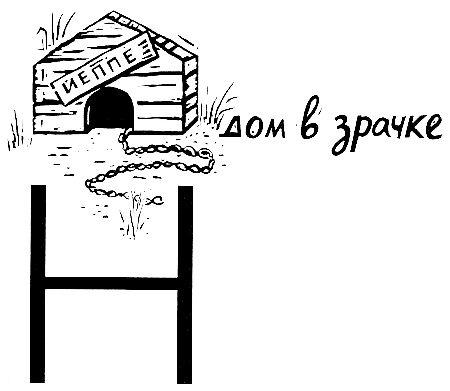 В одежде человека В одежде человека