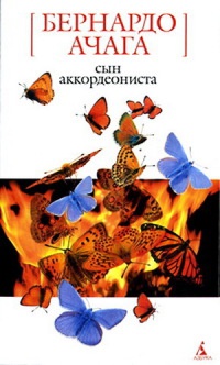 Сын аккордеониста - Бернардо Ачага - Читать книги онлайн | Слушать аудиокниги онлайн | Электронная библиотека books-lib.com
