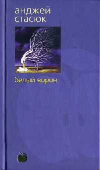 Белый ворон - Анджей Стасюк - Читать книги онлайн | Слушать аудиокниги онлайн | Электронная библиотека books-lib.com