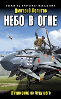 Небо в огне. Штурмовик из будущего - Дмитрий Политов - Читать книги онлайн | Слушать аудиокниги онлайн | Электронная библиотека books-lib.com