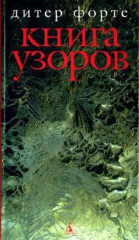 Книга узоров - Дитер Форте - Читать книги онлайн | Слушать аудиокниги онлайн | Электронная библиотека books-lib.com