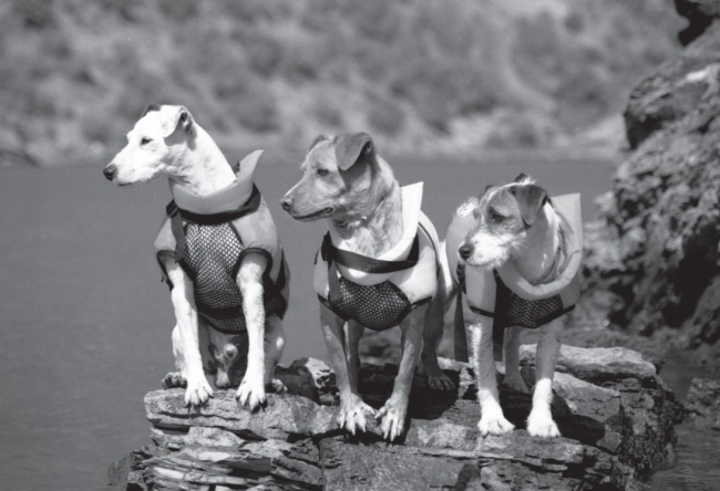 Угги. Моя жизнь Угги. Моя жизнь