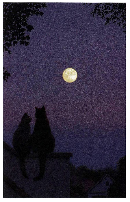 Неро Корлеоне. Кошачья история Неро Корлеоне. Кошачья история